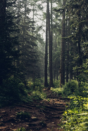 Image by Degleex