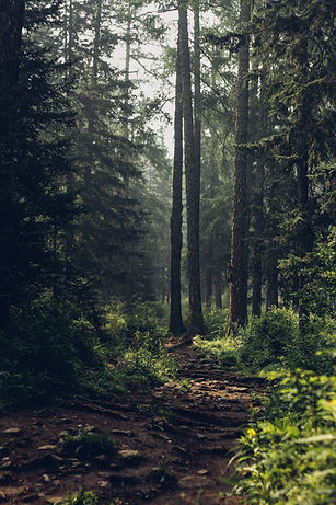 Grief Counseling and Individual Therapy at Creating Space Therapy in Batavia, IL