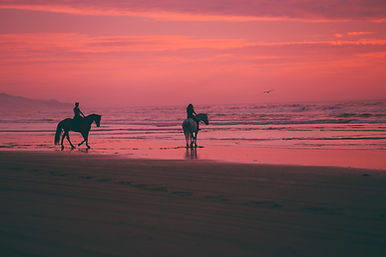 Image by Austin Neill