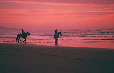 Image by Austin Neill