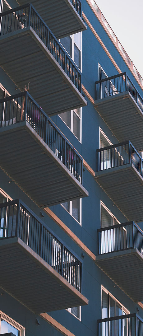 Image by Brandon Griggs