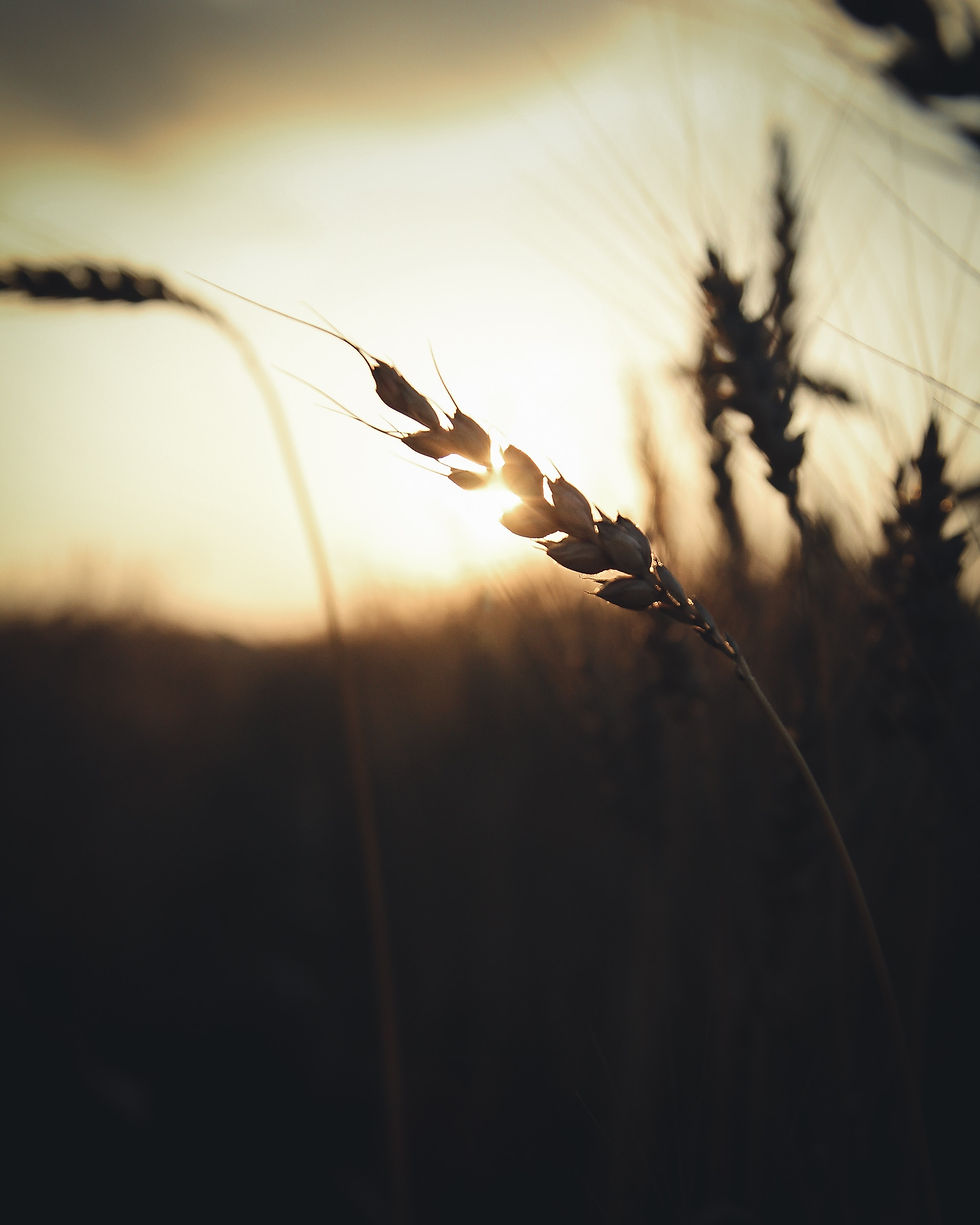 Image by Kirill Pershin