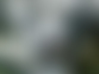 A high-resolution, extreme close-up of a snow leopard's face, showing its light-colored eyes, pink nose, and thick white fur with black spots and long whiskers.