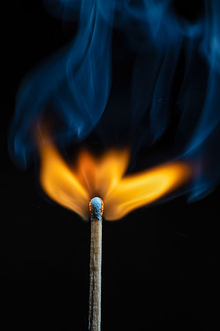 Image by Elia Mazzaro