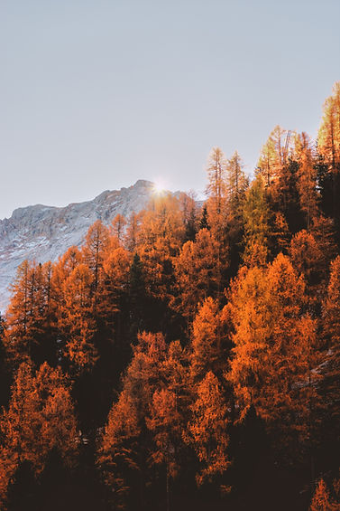 Image by eberhard 🖐 grossgasteiger