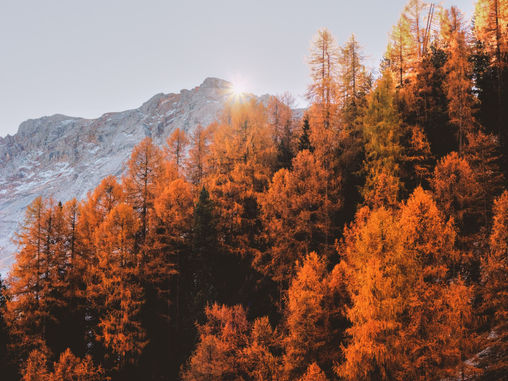 3 Reminders To Make The Most Of Autumn