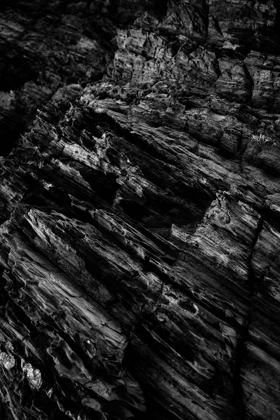 Image by Adrien Olichon