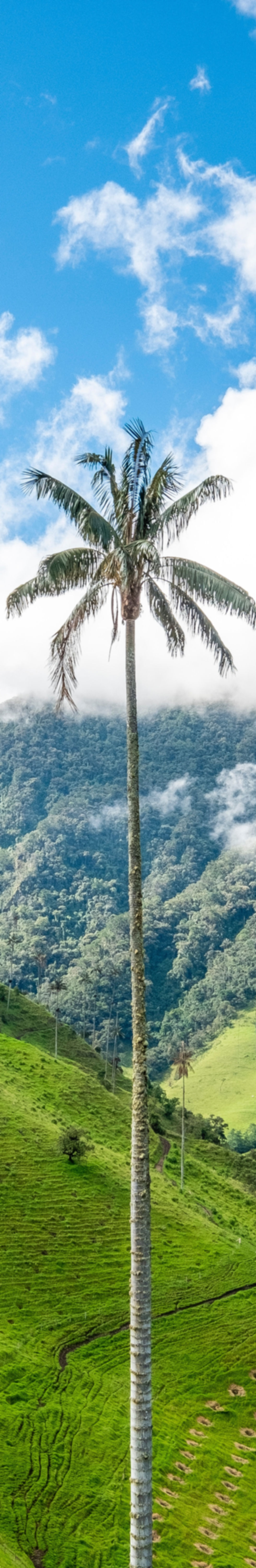 Image by Christian Holzinger