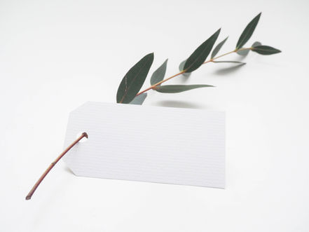 Marketing e Sustentabilidade, ou Sustentabilidade do Marketing?