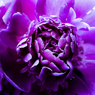 Image by Arūnas Naujokas