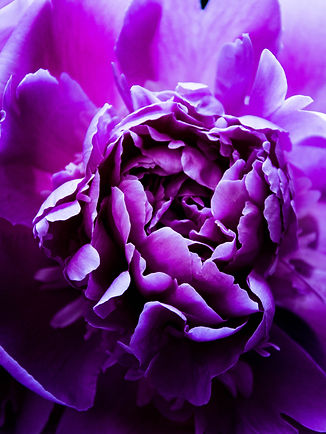 Image by Arūnas Naujokas