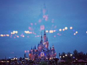 THE MOST MAGICAL KINGDOM