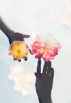 Image by Evie S.