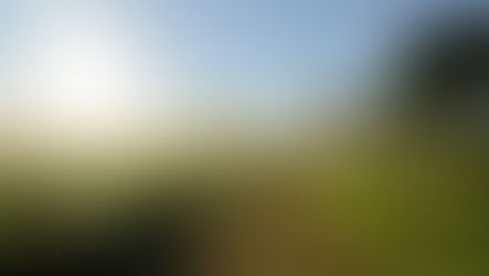 「木星-土星-月期」の開始─30代最後の夏が来る