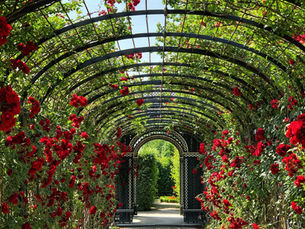 IL GIARDINO TERAPEUTICO