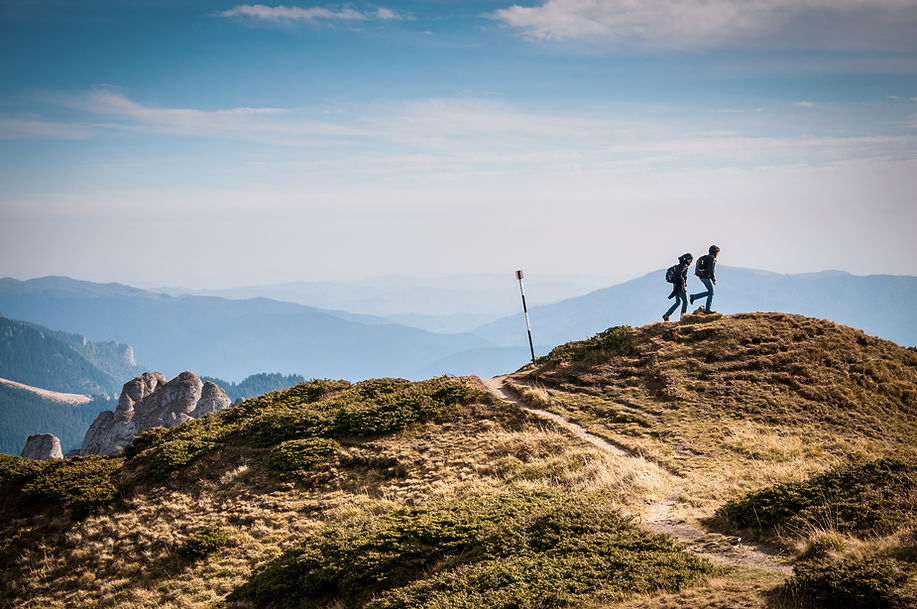 Image by David Marcu