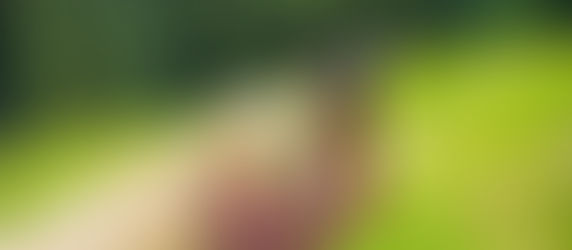 Člověk není pustý ostrov - potřebuje ostatní život, aby mohl žít naplno