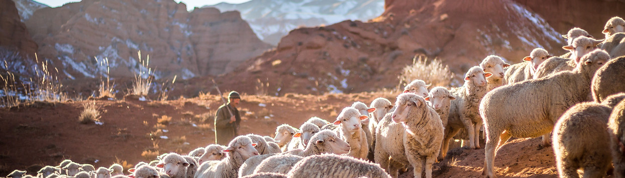 voyage nature kirghizistan