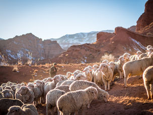 What More Could We Need? (John 10:10)