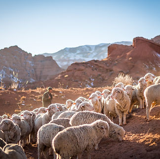 Image by Patrick Schneider