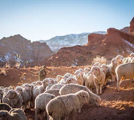 이미지 제공: Patrick Schneider