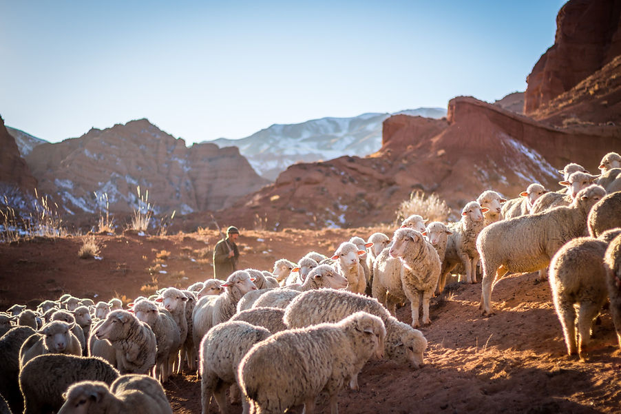 Image by Patrick Schneider