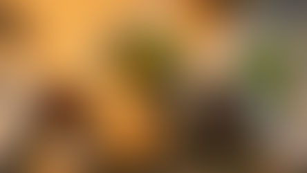 【コレステロール対策にも】ヘルシーなのにコク旨！オリーブオイルで作る健康炒め物レシピとオイル選びのコツ