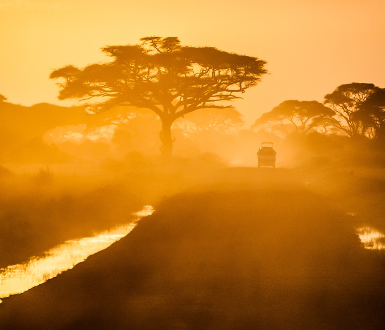 African sunset on safari