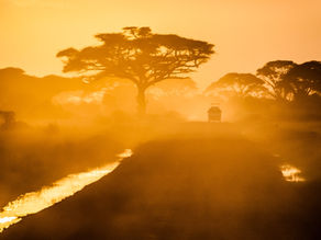 A nation is only as great as the leaders it is raising. 