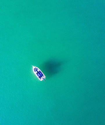 Image by Rod Long