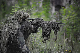 Image by Specna Arms