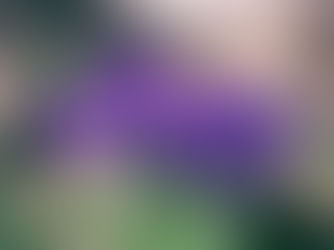 A manifestação da graça