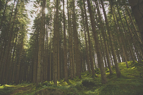 Image by Yilmaz Akin