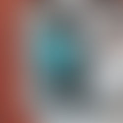 ¿TU YA PRESENTASTE TU CEDULA DE OPERACIÓN ANUAL (COA)?