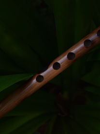 Embracing Indian Classical Music