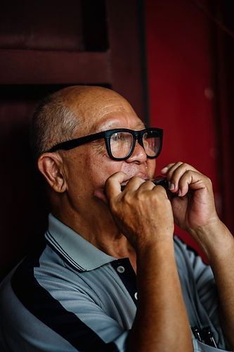 home school harmonica class lessons