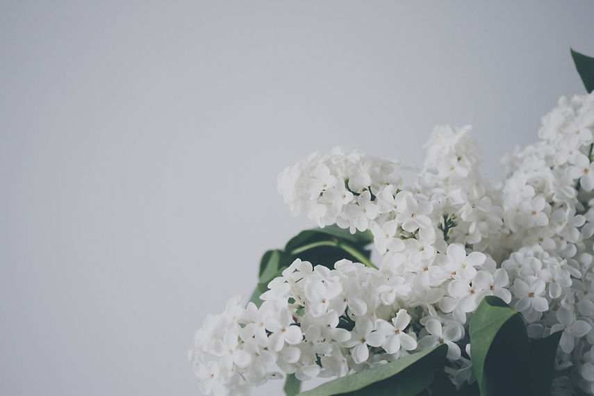 Image by Veri Ivanova