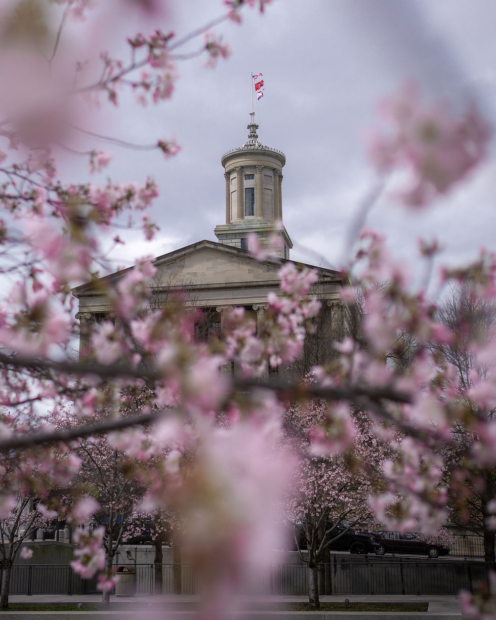 Best Season to Visit Nashville: A Complete Guide