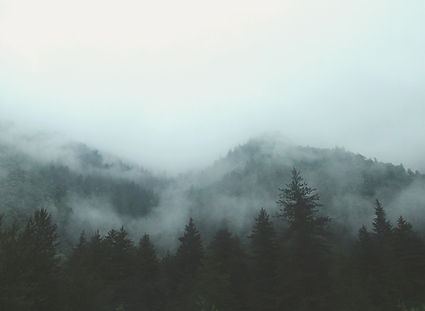 Image by france perles