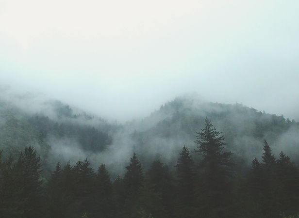 Image by france perles