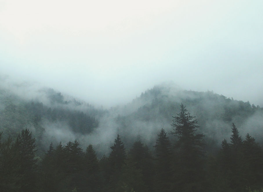 Image by france perles