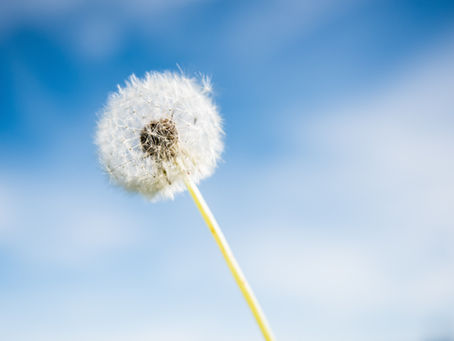 每周总结(2022年6月11日)