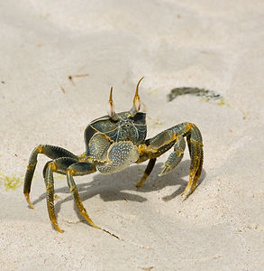 Billede af Florian Berger