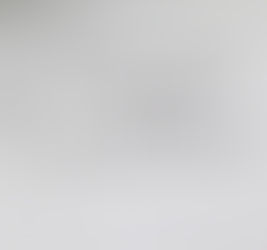 florida last will and testament document