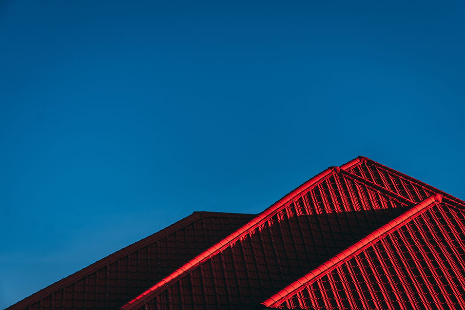 Image by Robin Kutesa