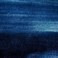 Carpet Inspiration