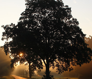 Image by Kai Dörner