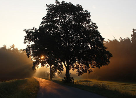 Image by Kai Dörner