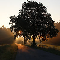 Image by Kai Dörner