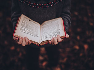 Image by Annie Spratt